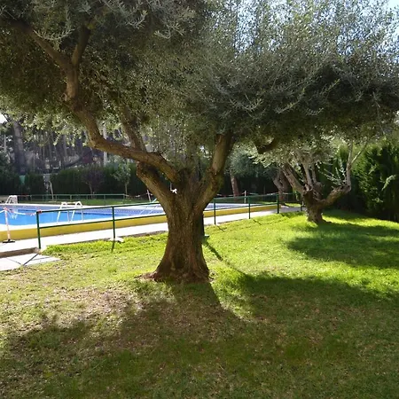 Wvp - Domus Salou 2